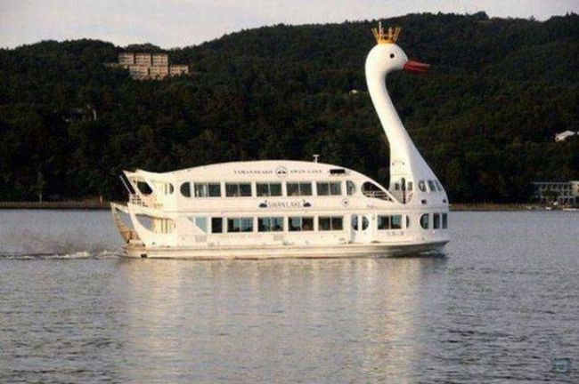 swan boat