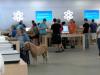 just a mini horse in an apple store