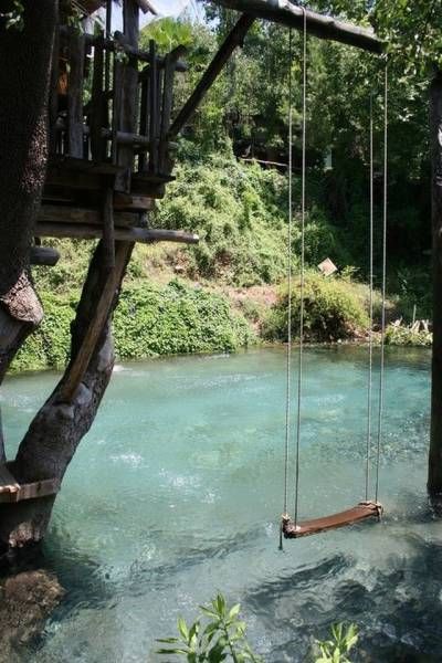 tropical water swing from treehouse