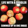 life with a toddler summed up in one image, 7 apples with a one or two bites, meme