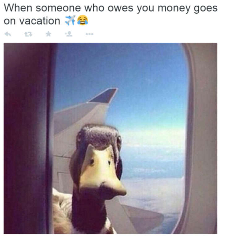 when someone who owes you money goes on vacation