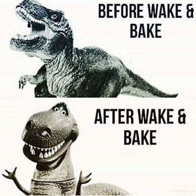 tyrannosaurus rex before wake and bake, barney the dinosaur after wake and bake