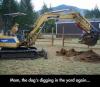 mom the dog's digging in the yard again, dog on excavator