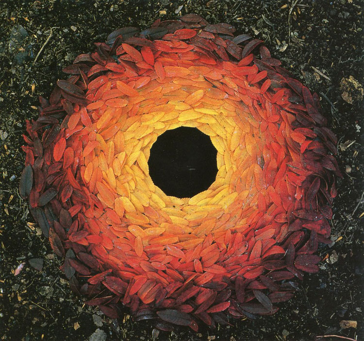 andy goldsworthy arranges leaves sticks and stones to create magical land artworks