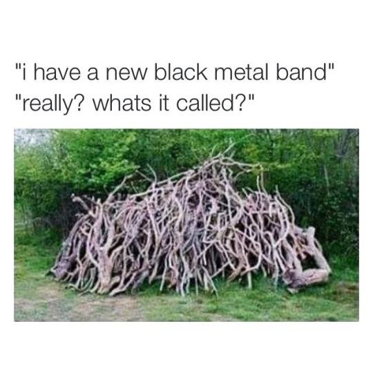 i have a new black metal band, really? what's it called?, pile of sticks that totallylookslike a black metal band name