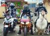 transportation method of choice, motorcycle versus llama