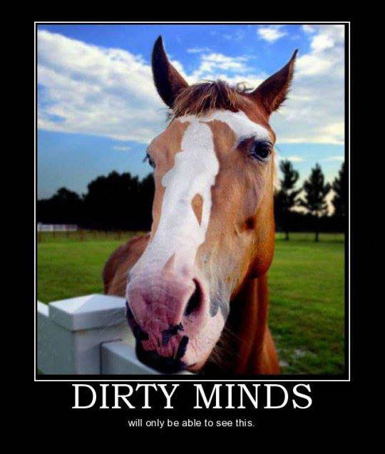 only dirty minds will be able to see this, when you see it, horse with silhouette of women on face, motivation