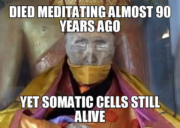 died meditating almost 90 years ago, yet somatic cells still alive