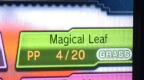 magical leaf, 420