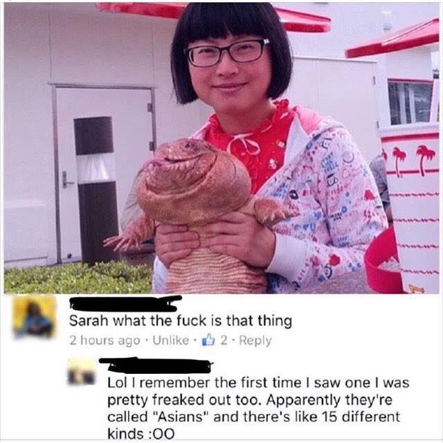 sarah what the fuck is that thing?, i remember the first time i saw one i was pretty freaked out too, apparently they're called asians and there's like 15 different kinds