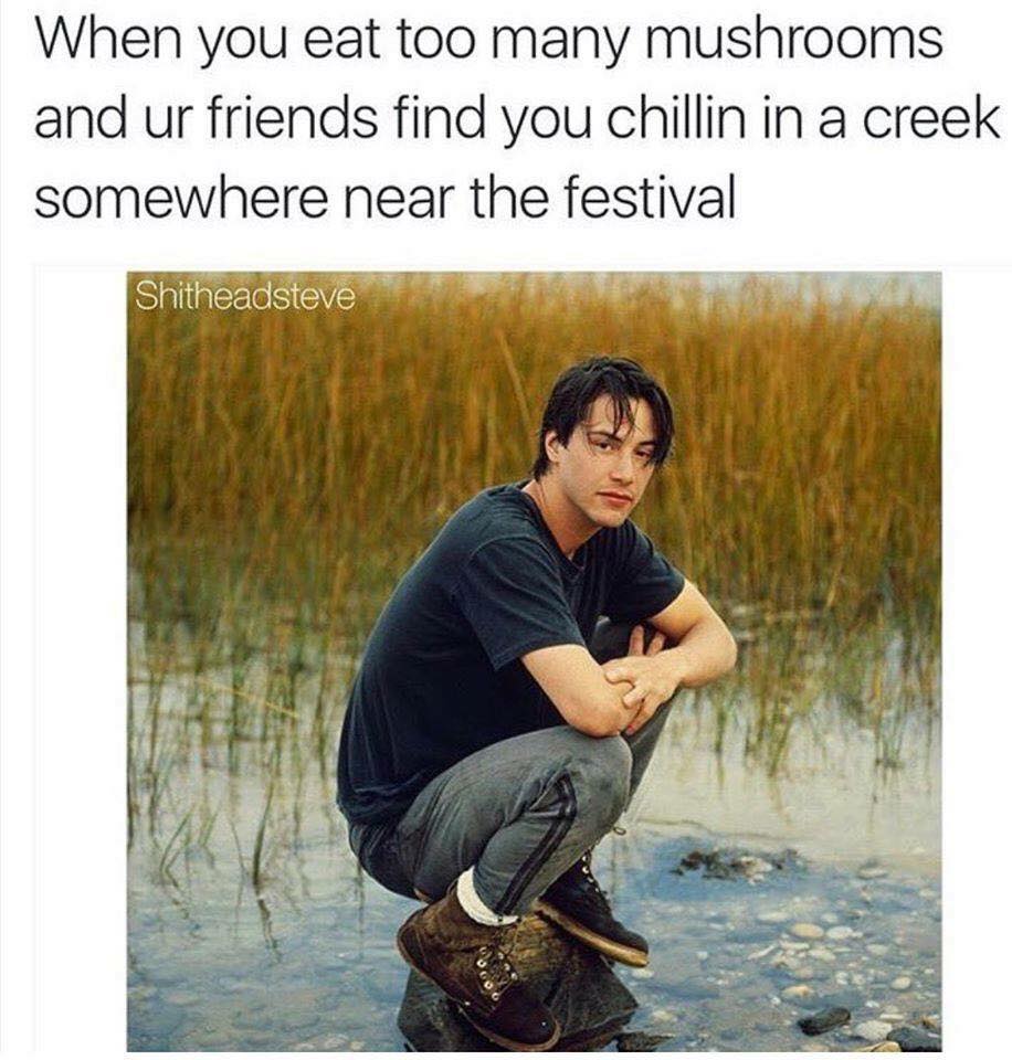 when you eat too many mushrooms and ur friends find you chilling in a creek somewhere near the festival