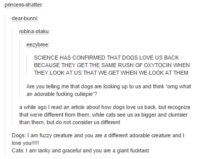science has confirmed that dogs love us back because they get the same rush of oxytocin when they look at us that we get when we look at them, dogs love us back but recognize that we're different from them