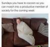 sundays you have to cocoon so you can morph into a productive member of society for the coming week