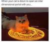 when your cat is down to open an inter dimensional portal with you