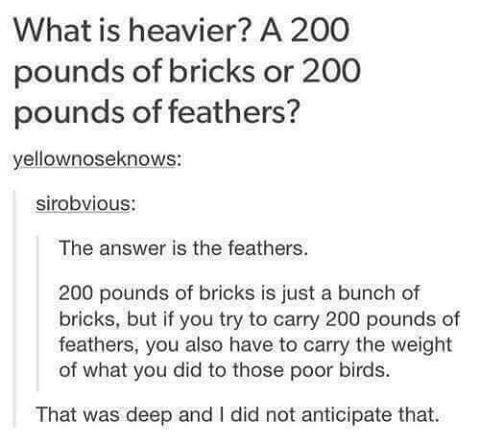 what is heavier?, 200 pounds of bricks or 200 pounds of feathers?, feathers because you have to carry the weight of what you did to those poor birds
