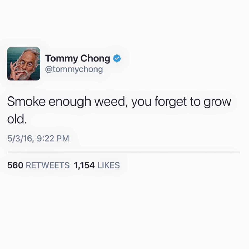 smoke enough weed, you forget to grow old, tommy chong