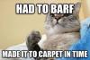 had to barf, made it to the carpet, win cat, meme