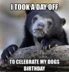 i took a day off to celebrate my dogs birthday, confession bear, meme