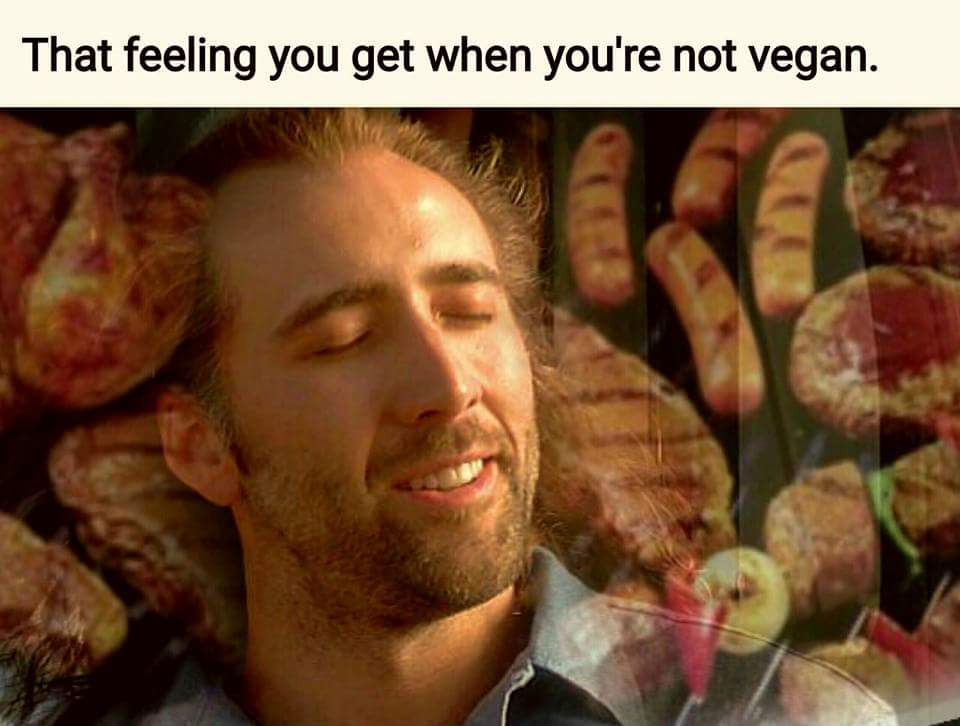 that feeling you get when you're not vegan