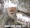 hey kids want some king fu?, meme