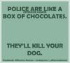 police are like a box of chocolates, they'll kill your dog