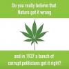 do you really believe that nature got it wrong, and in 1937 a bunch of corrupt politicians got it right?, marijuana legalization