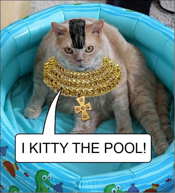 i kitty the pool