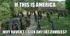 if this is america, why haven't i seen any fat zombies?, the walking dead, meme