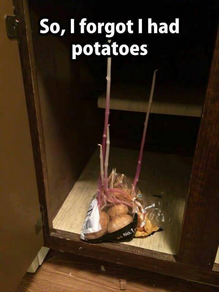so i forgot i had potatoes