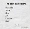 the best six doctors, sunshine, water, rest, air, exercise, diet