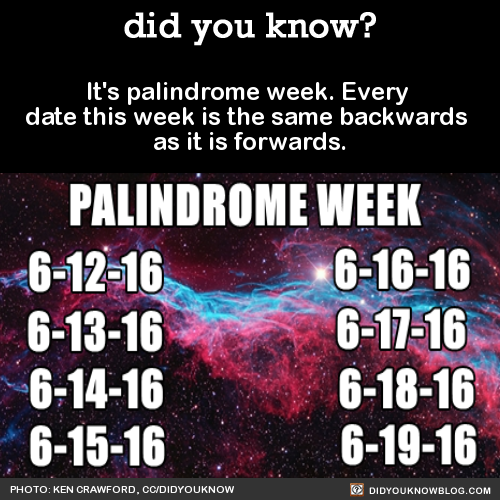 happy palindrome week everybody!