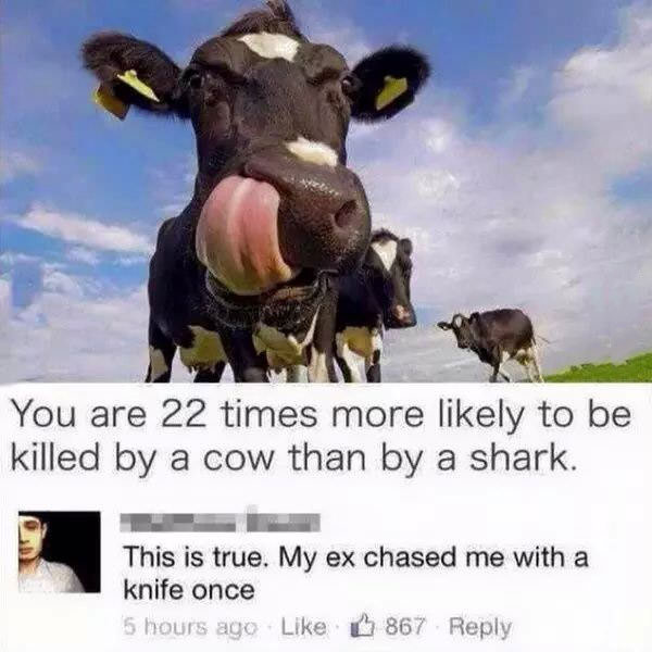 you are 22 times more likely to be killed by a cow than by a shark, this is try, my ex chased me with a knife once