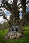 owl carving into a tree