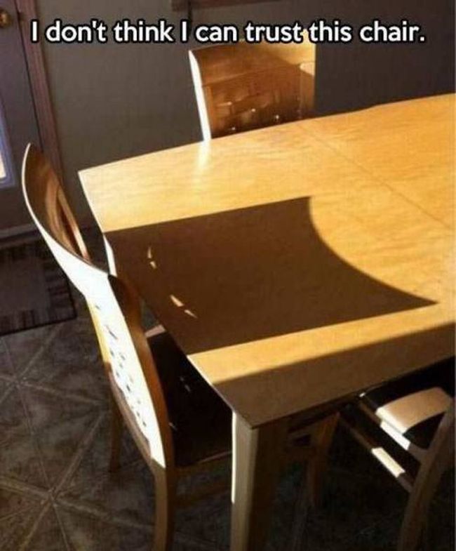 i don't think i can trust this chair