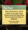 bees like flowers, which means if you give a girl flowers and she likes them she is a bunch of bees in disguise