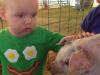 little boy at a bacon farm