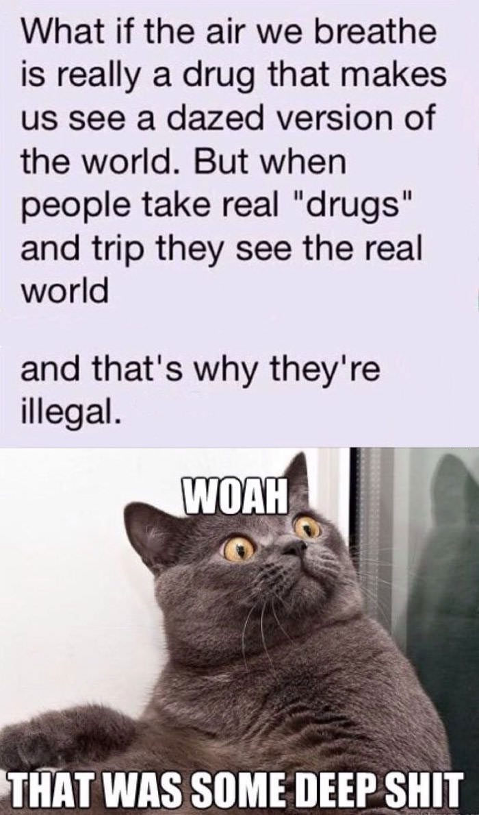 what if the air we breathe is really a drug that makes us see a dazed version of the world, but when people take real drugs and trip they see the real world, and that's why they're illegal