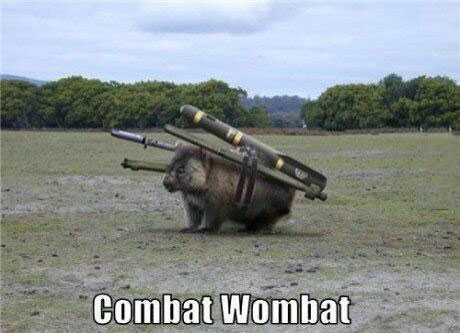 combat wombat