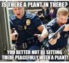 is there a plant in there?, you better not be sitting there peacefully with a plant!, scumbag justice system