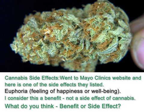 one of the side effects of marijuana is euphoria, feeling of happiness or well-being, i consider this a benefit, not a side effect of cannabis