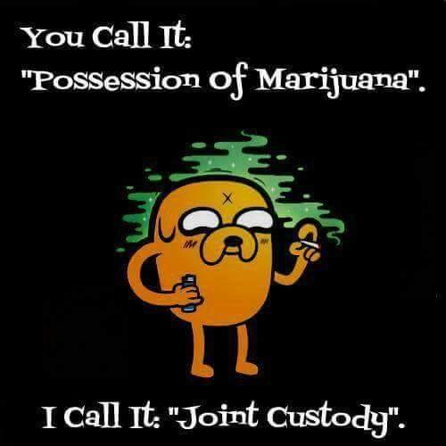you call it possession of marijuana, i call it joint custody