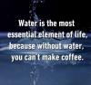 water is the most essential element of life, because without water you can't make coffee
