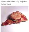 what i mean when i say i'm gonna try new foods, pizza slice burger