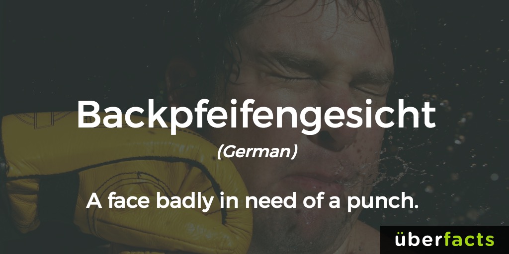 backpfeifengesicht, a face badly in need of a punch