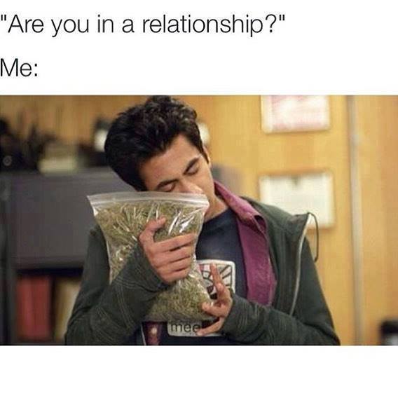 are you in a relationship, me with a bag of weed