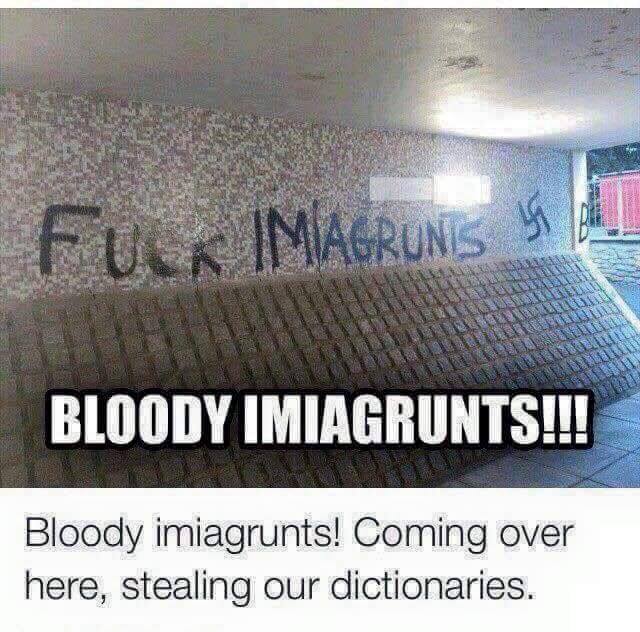 fuck imiagrunts, bloody imiagrunts, coming over here, stealing our dictionaries