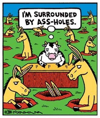 i'm surrounded by ass holes, comic