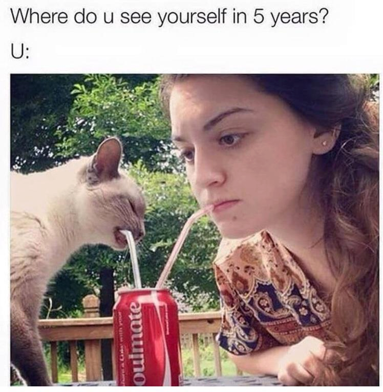 where do you see yourself in five years, drinking coke with my cat
