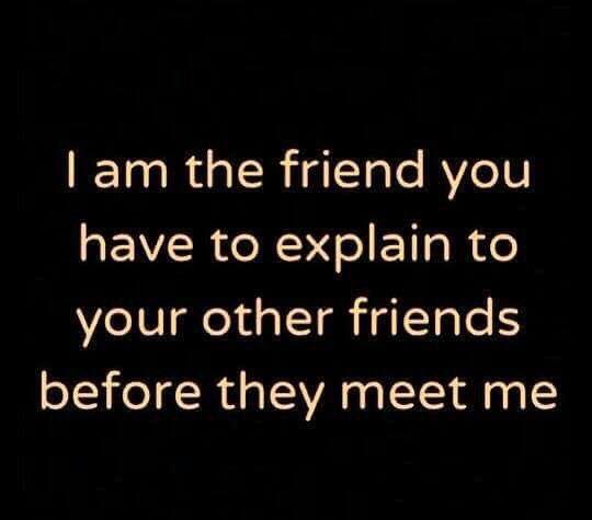 i am the friend you have to explain to your other friends before they meet me