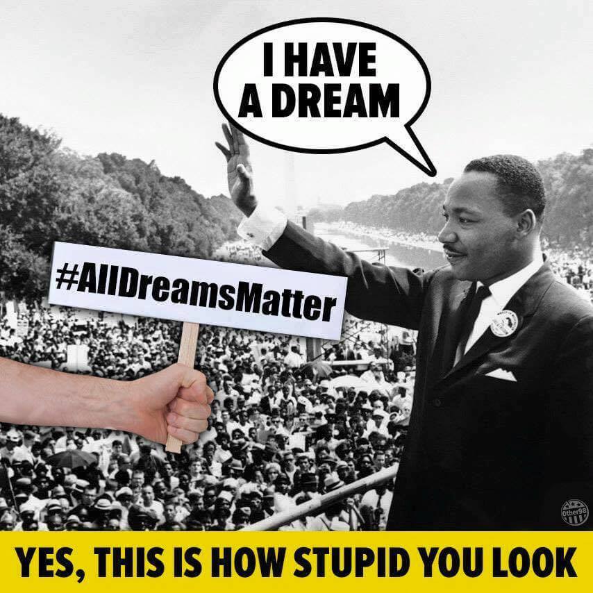 i have a dream, alldreamsmatter, yes this is how stupid you look